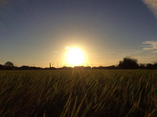 51927898_2155570831420346_2932691549034643456_n